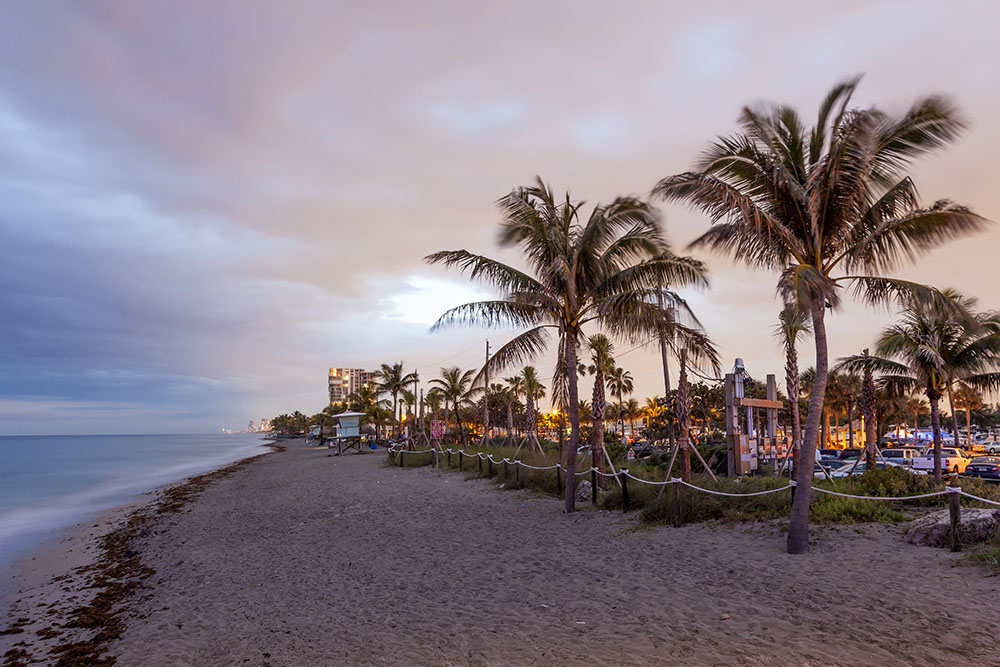 Dania Beach Property Management